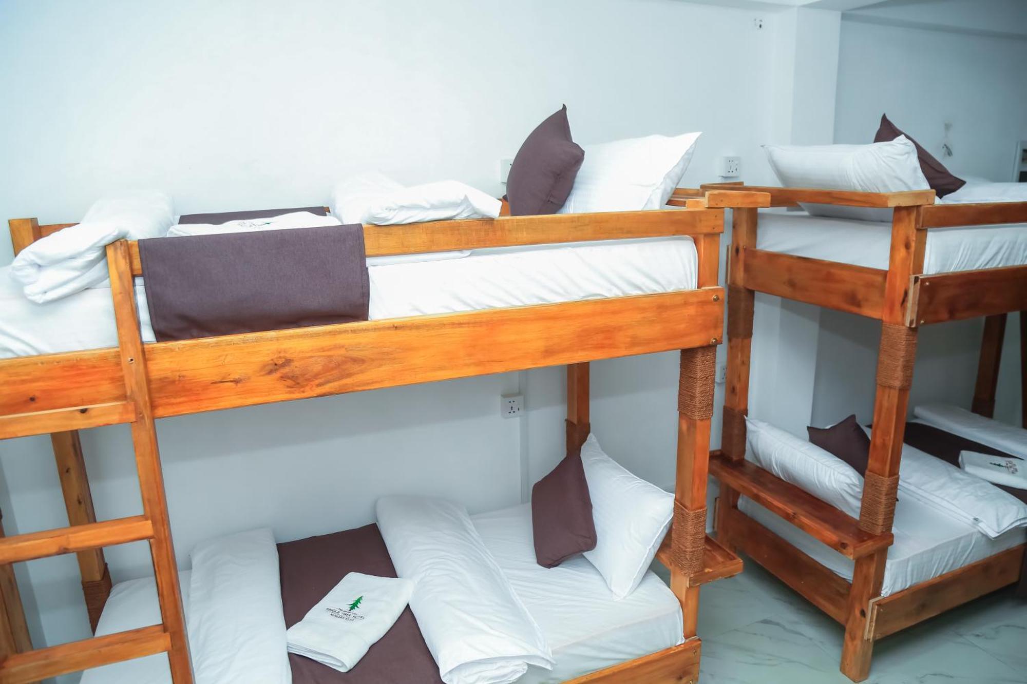 The Mount View Single Tree Hotel Nuwara Eliya Ngoại thất bức ảnh